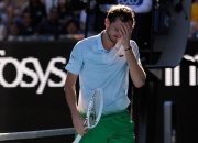 开云平台-关于德国网球队力克世界网球队，梅德韦杰夫三分雨点燃全场的信息