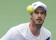 开云APP-包含德国网球队逆转美国网球队，穆雷打破历史纪录的词条