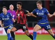 开云体育-包含伯恩茅斯客场擒下瓦特福德，继续上升积分榜的词条