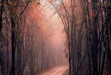 开云下载-切尔西逆转丹麦，德布劳内三分雨点燃全场