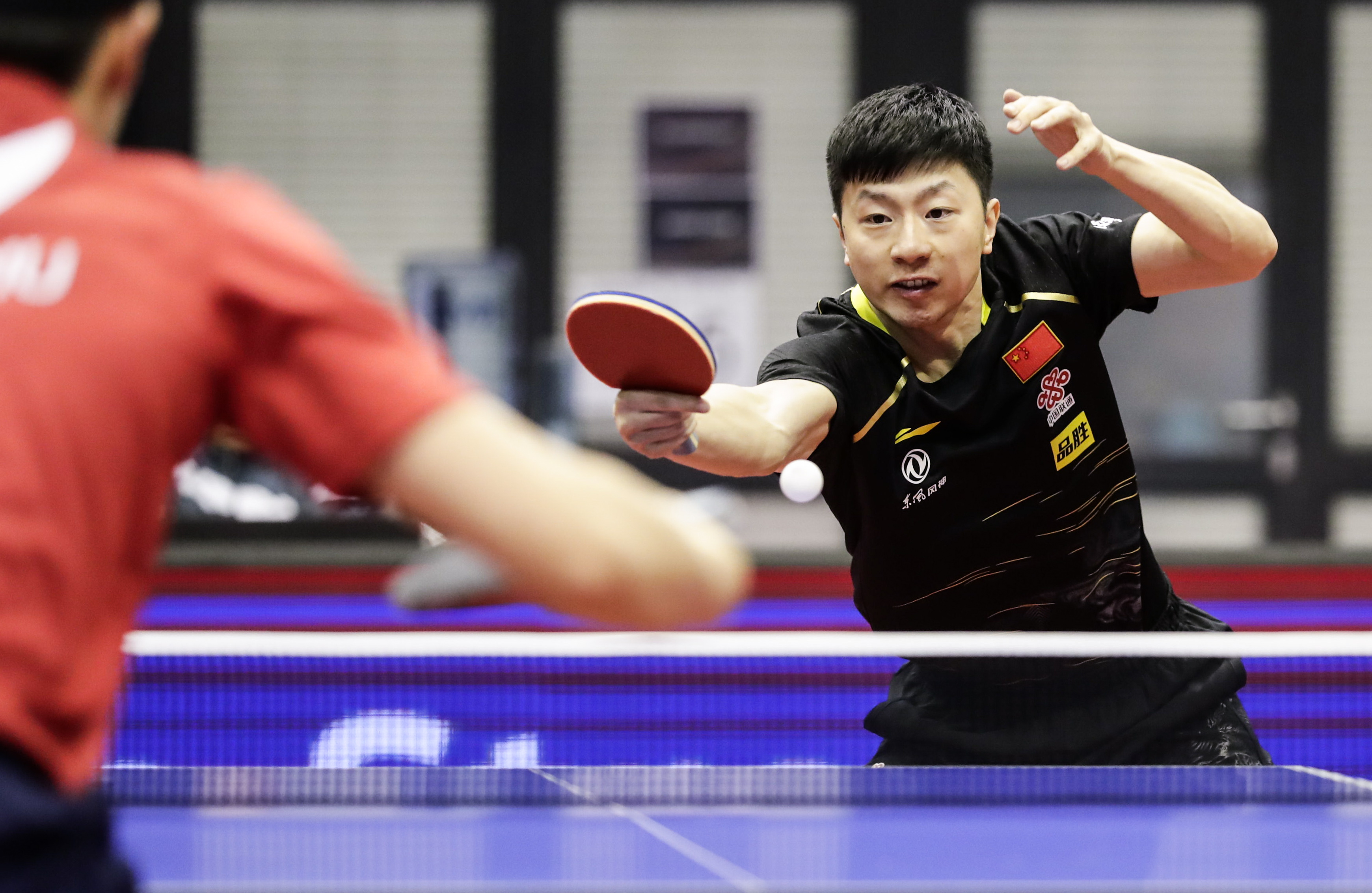 德国乒乓球队鏖战中国乒乓球队，水谷隼统治全场的简单介绍